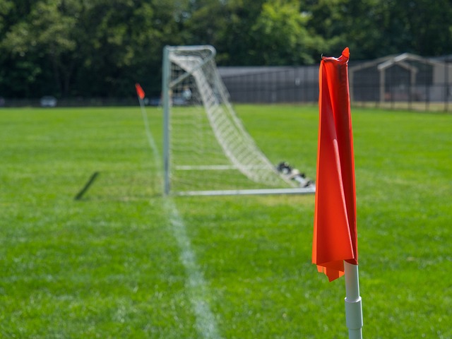 我們不禁期 我們不禁期