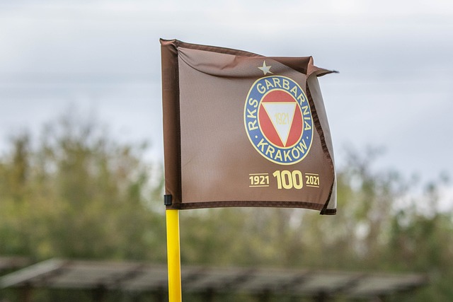 完美展现了 完美展现了