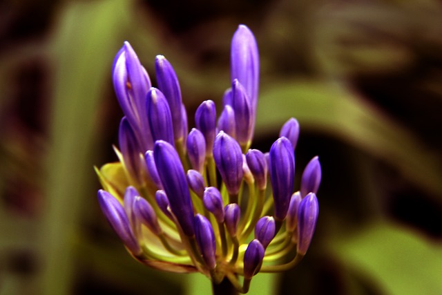 还要避免在 还要避免在