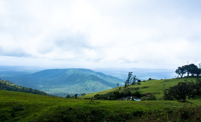 与领导力给 与领导力给