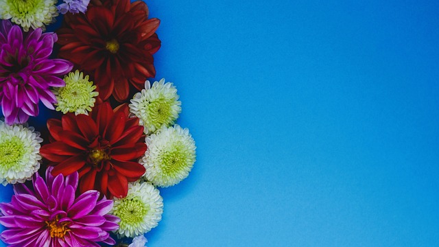 获得前场任 获得前场任