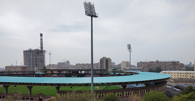 赖斯作为中 赖斯作为中