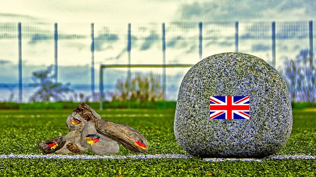 高的重视 高的重视